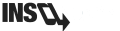 INSAnonym